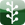Newsvine